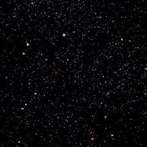 Meet your Posher, Kylie